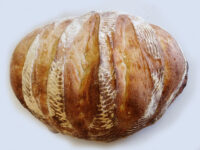 Oval loaf of Rustic Bread or Baguettes with diagonal slashes and flour dusting on white surface.