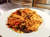 Plate of Lo Mein with Chicken piled high with noodles, chicken strips, carrots and dark mushrooms