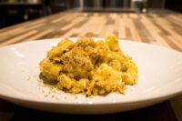 Plate of Mac & Cheese with rigatoni tubes coated in creamy sauce and topped with toasted breadcrumbs.