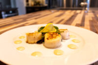 Seared scallops with spicy sauce dots and a green garnish on a white plate.