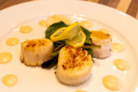 Seared Scallops with Spicy Sauce plated with lemon slices, greens, and dots of yellow sauce.