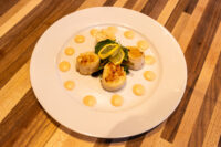 Seared scallops with greens and a lemon slice, ringed by dots of pale sauce, plated as Scallops with Spicy Sauce.