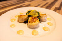 Three seared scallops on white plate with sauce dots, lemon slice and arugula, Scallops with Spicy Sauce